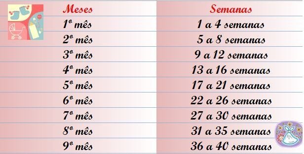 Entenda como calcular a duração da gravidez em meses