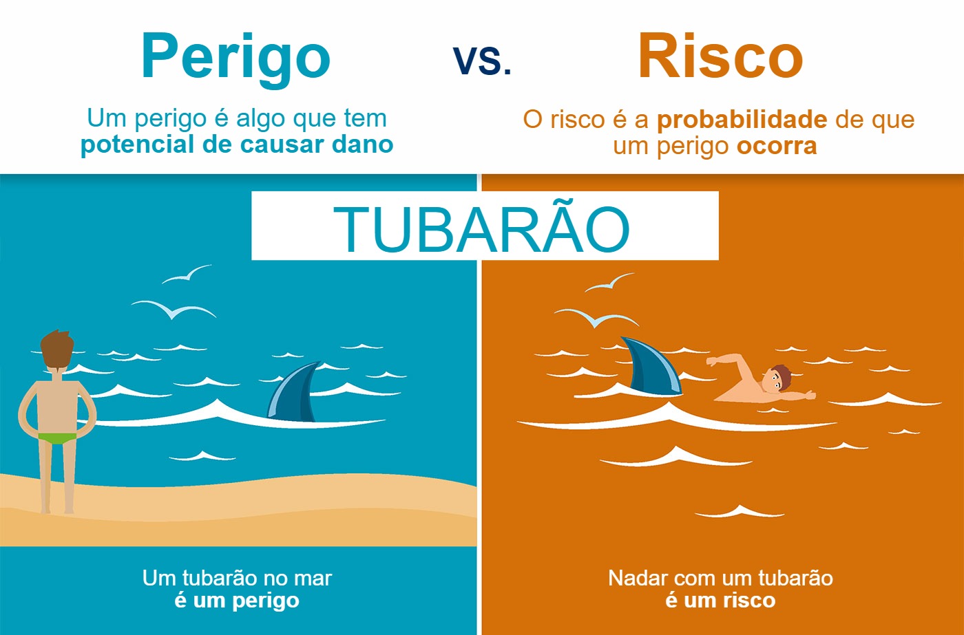 Compreendendo as Diferenças entre Risco e Perigo